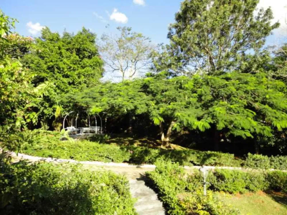 Casa, 3 quartos, 350 m² - Foto 4