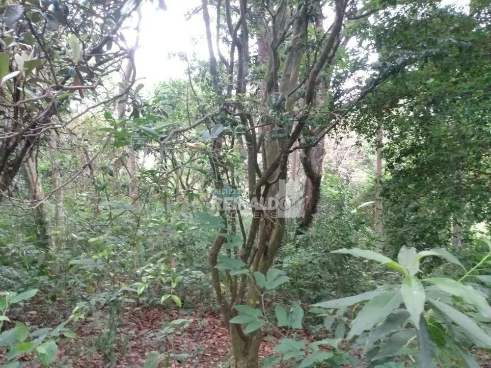 Loteamento e Condomínio, 2009 m² - Foto 1