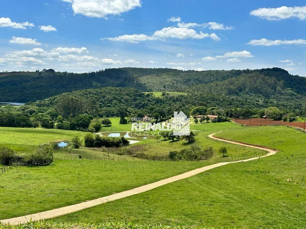 Chácara, 4 quartos, 17 hectares - Foto 28