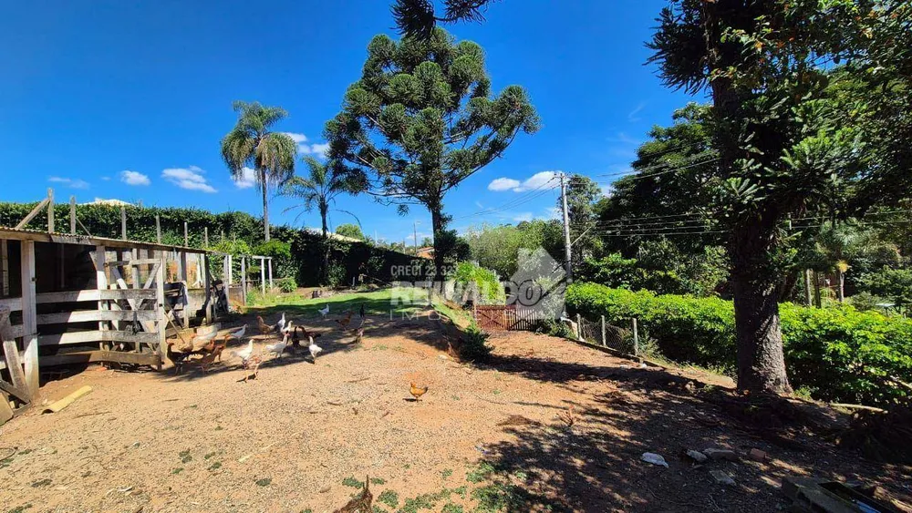 Chácara, 1 quarto, 3600 m² - Foto 12