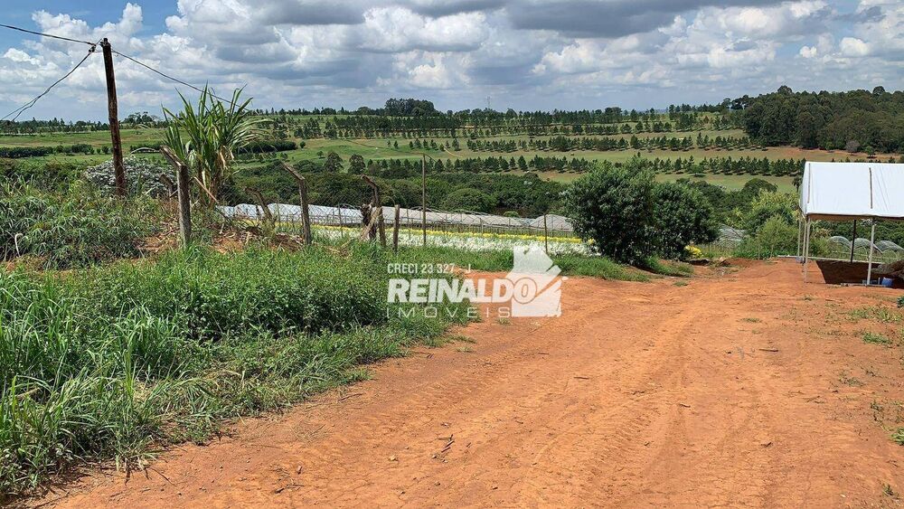 Sítio, 2 quartos, 12 hectares - Foto 4