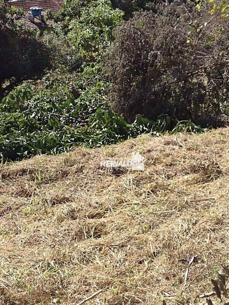 Terreno, 1001 m² - Foto 4