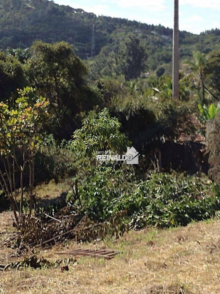 Terreno, 1001 m² - Foto 2