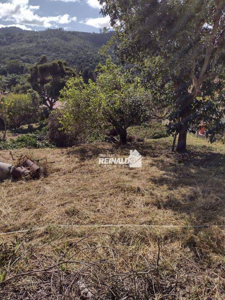 Terreno, 1001 m² - Foto 8