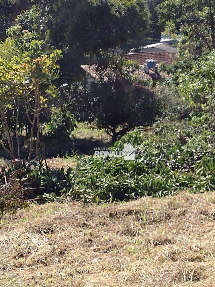 Terreno, 1001 m² - Foto 7