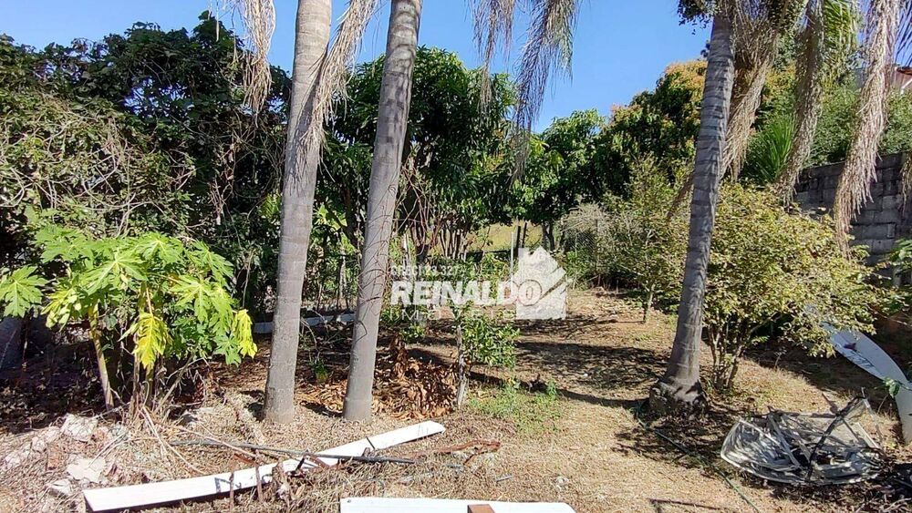Chácara, 3 quartos, 1000 m² - Foto 3