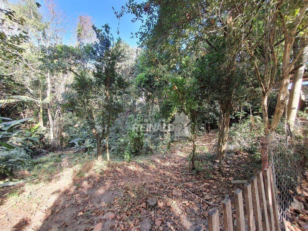 Terreno, 1300 m² - Foto 3
