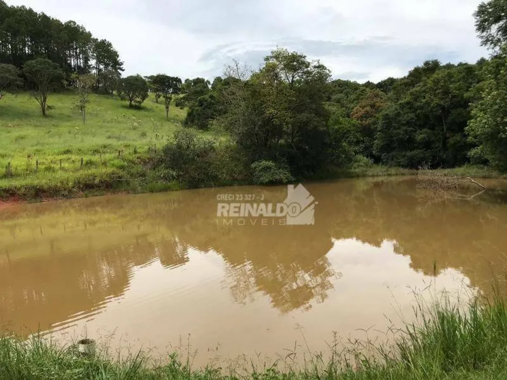 Sítio, 4 quartos, 19 hectares - Foto 4