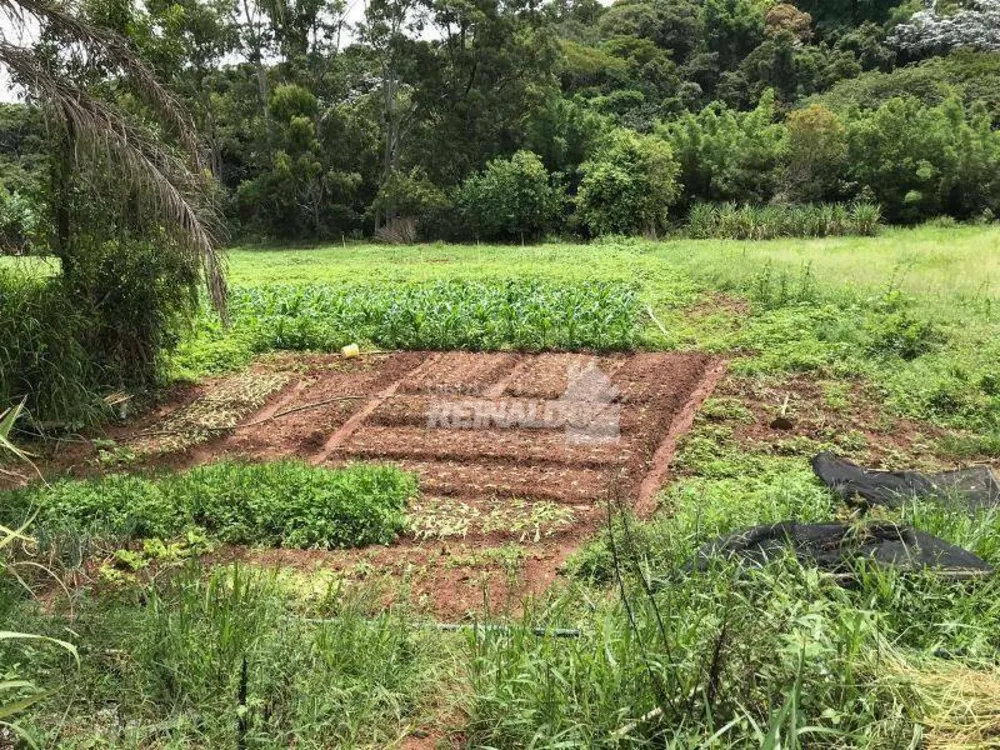 Sítio, 4 quartos, 19 hectares - Foto 8