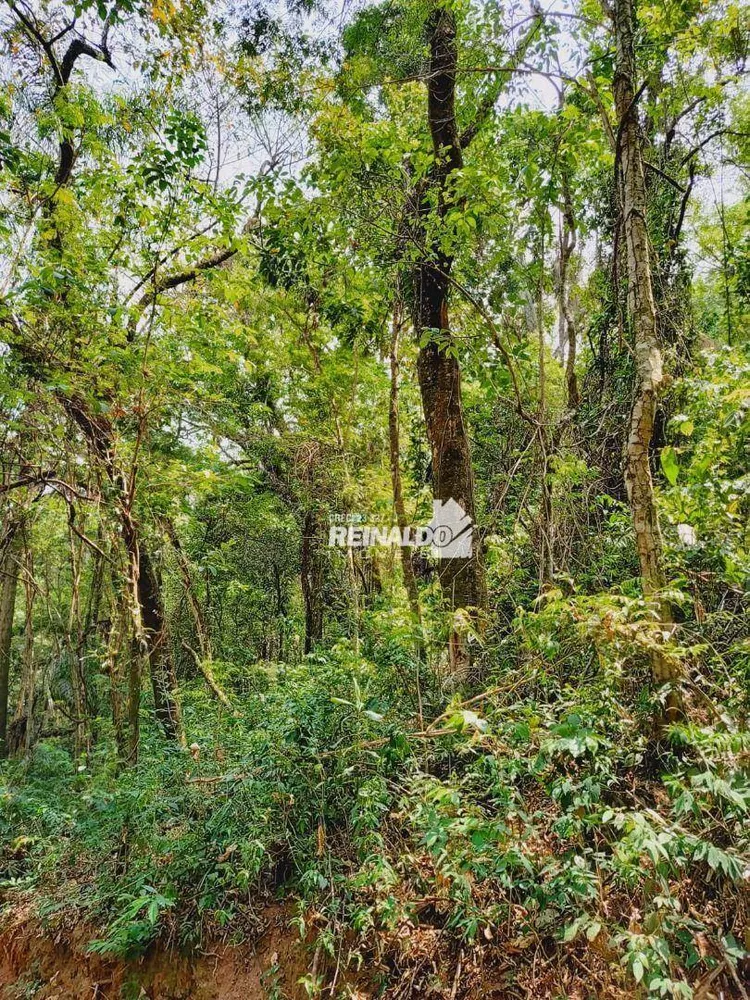 Loteamento e Condomínio à venda, 5000M2 - Foto 3