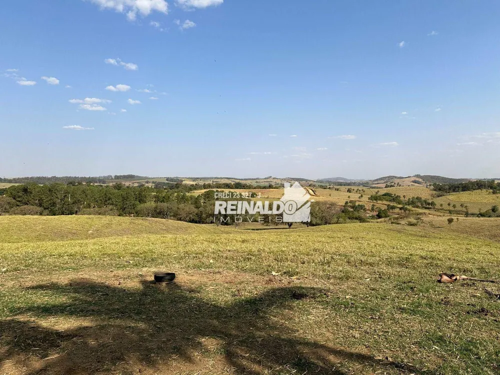 Fazenda, 261 hectares - Foto 20