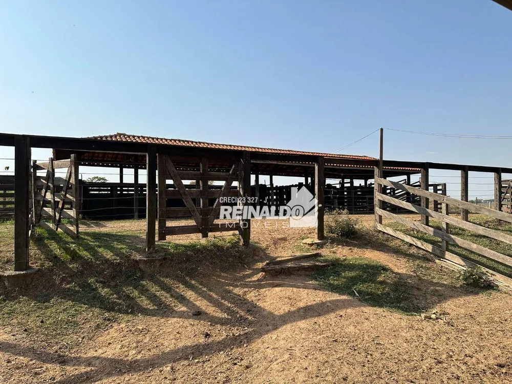 Fazenda, 261 hectares - Foto 16