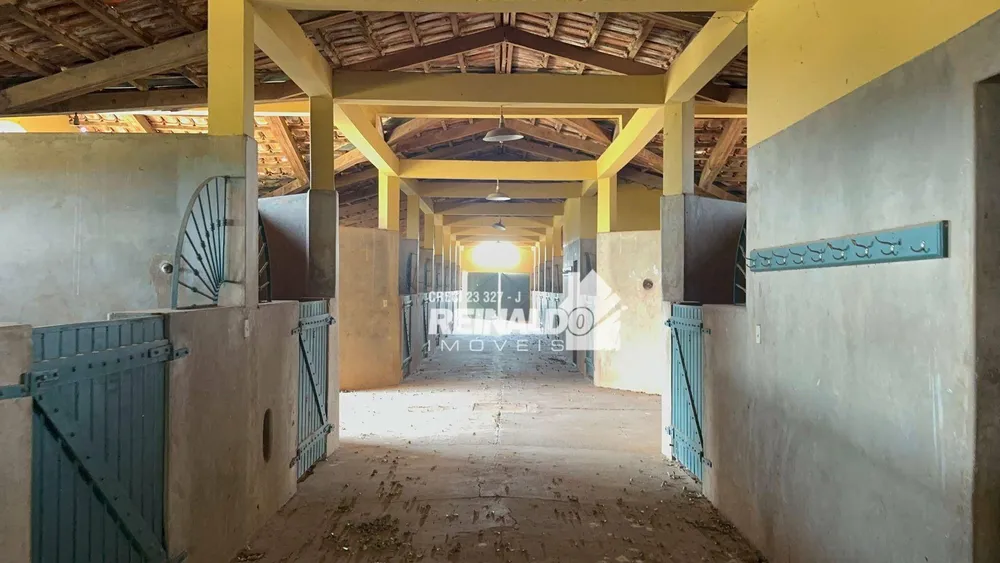 Fazenda, 261 hectares - Foto 25
