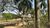 Fazenda-Sítio-Chácara, 261 hectares - Foto 13