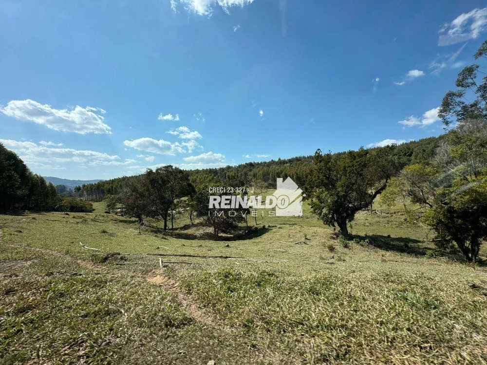 Fazenda, 121 hectares - Foto 9