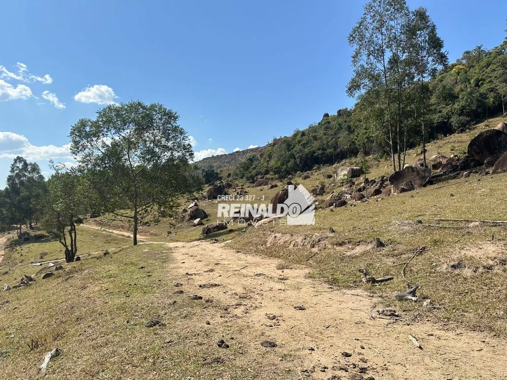Fazenda, 121 hectares - Foto 7