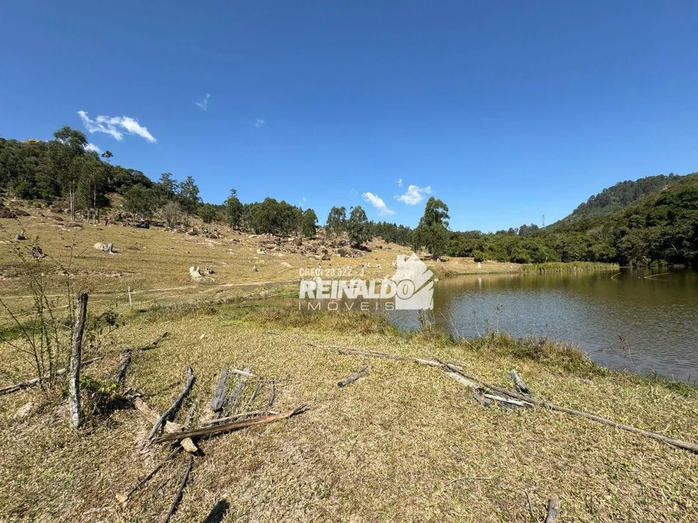 Fazenda, 121 hectares - Foto 10