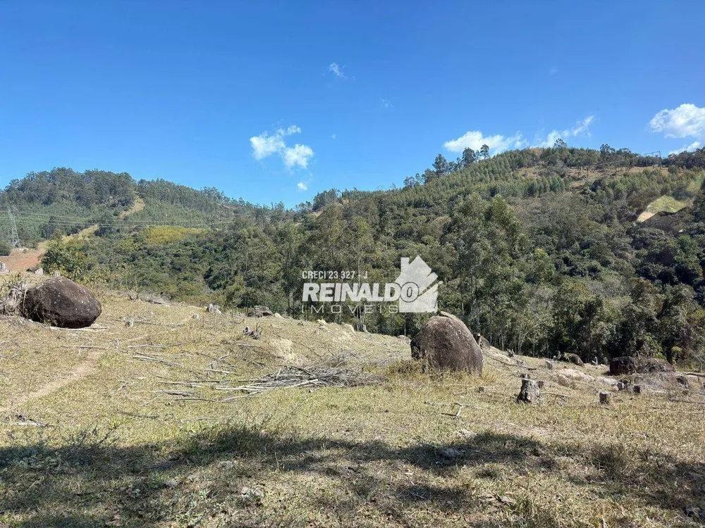 Fazenda, 121 hectares - Foto 12
