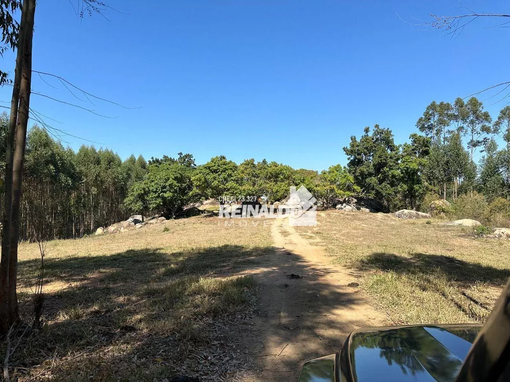 Fazenda à venda com 2 quartos, 300m² - Foto 2