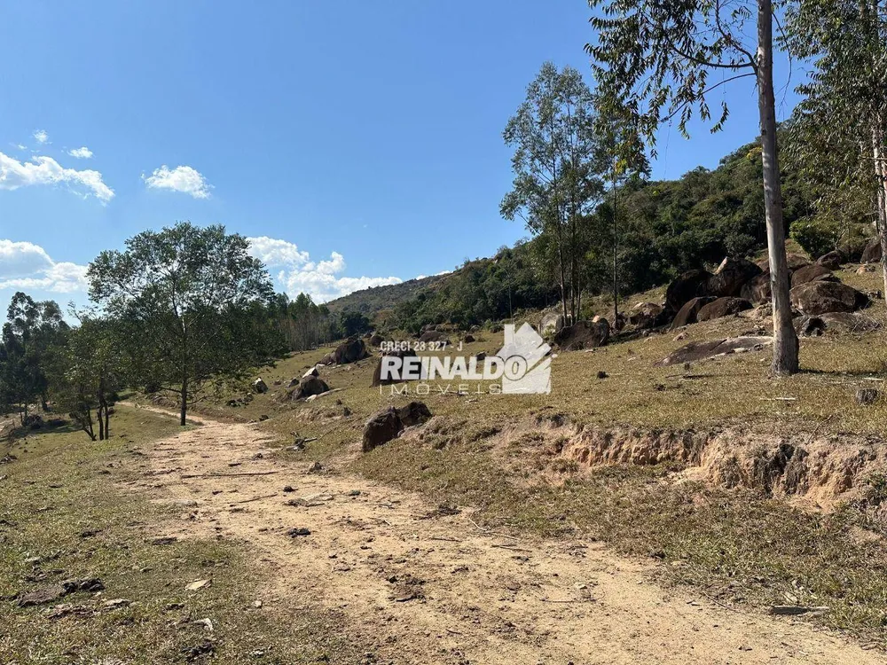 Fazenda, 121 hectares - Foto 6
