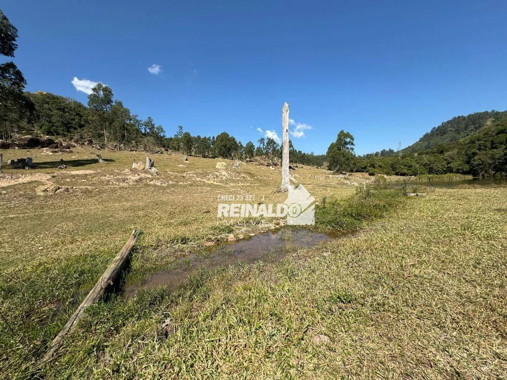 Fazenda, 121 hectares - Foto 11