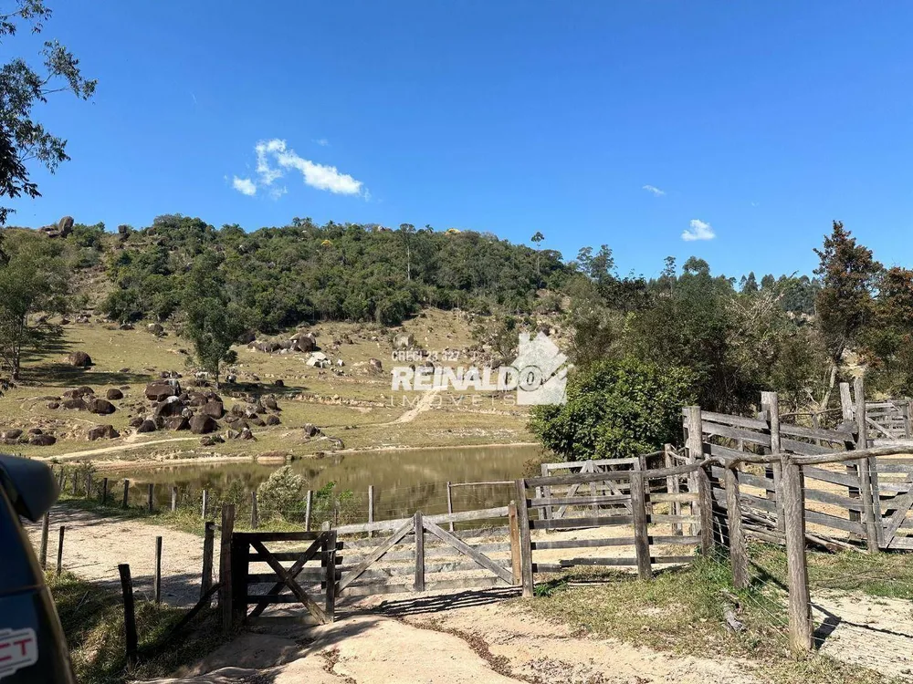 Fazenda, 121 hectares - Foto 8