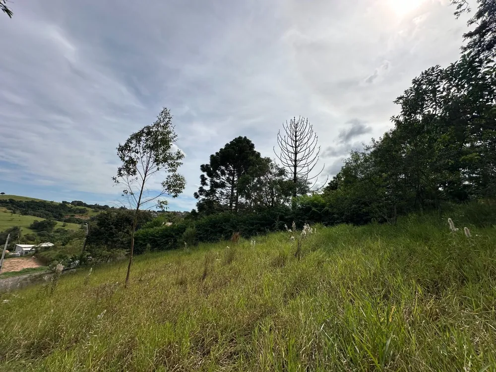 Terreno, 1085 m² - Foto 6