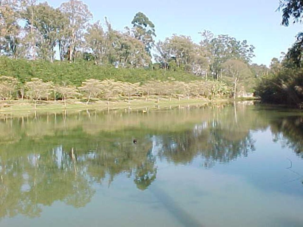 Casa de Condomínio, 4 quartos - Foto 20