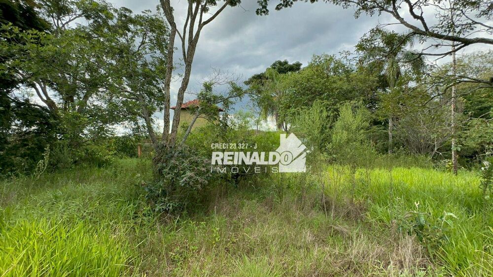 Sítio à venda com 4 quartos, 706m² - Foto 4