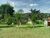 Chácara, 3 quartos, 1000 m² - Foto 15