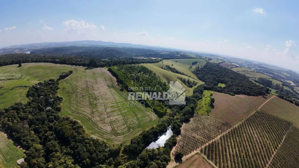 Terreno, 39 hectares - Foto 3