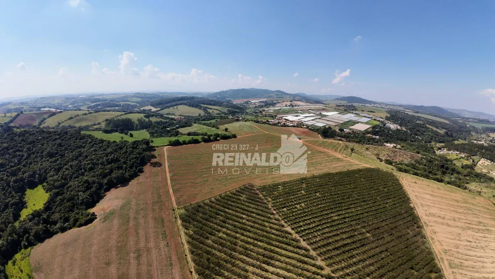 Terreno, 39 hectares - Foto 6