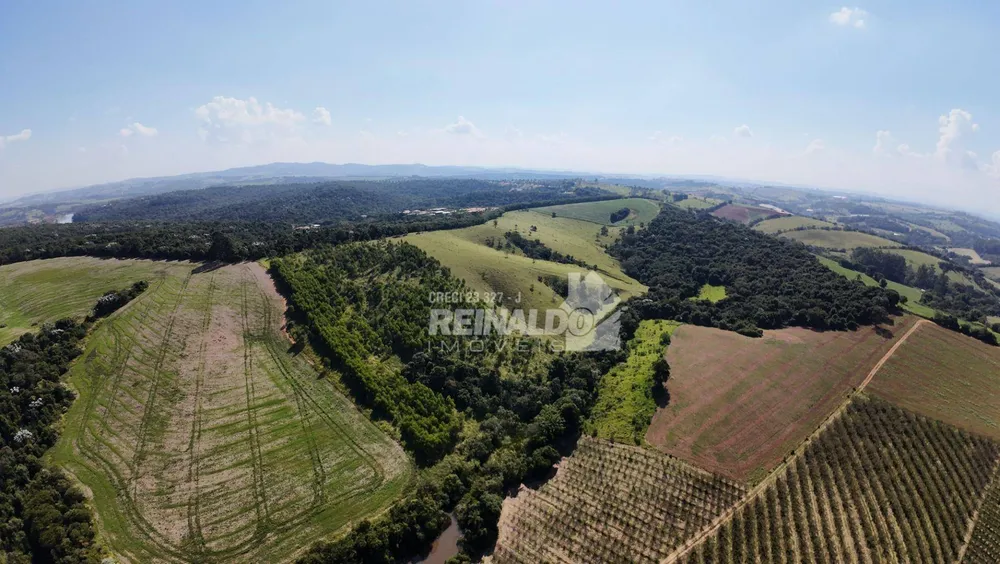 Terreno, 39 hectares - Foto 4