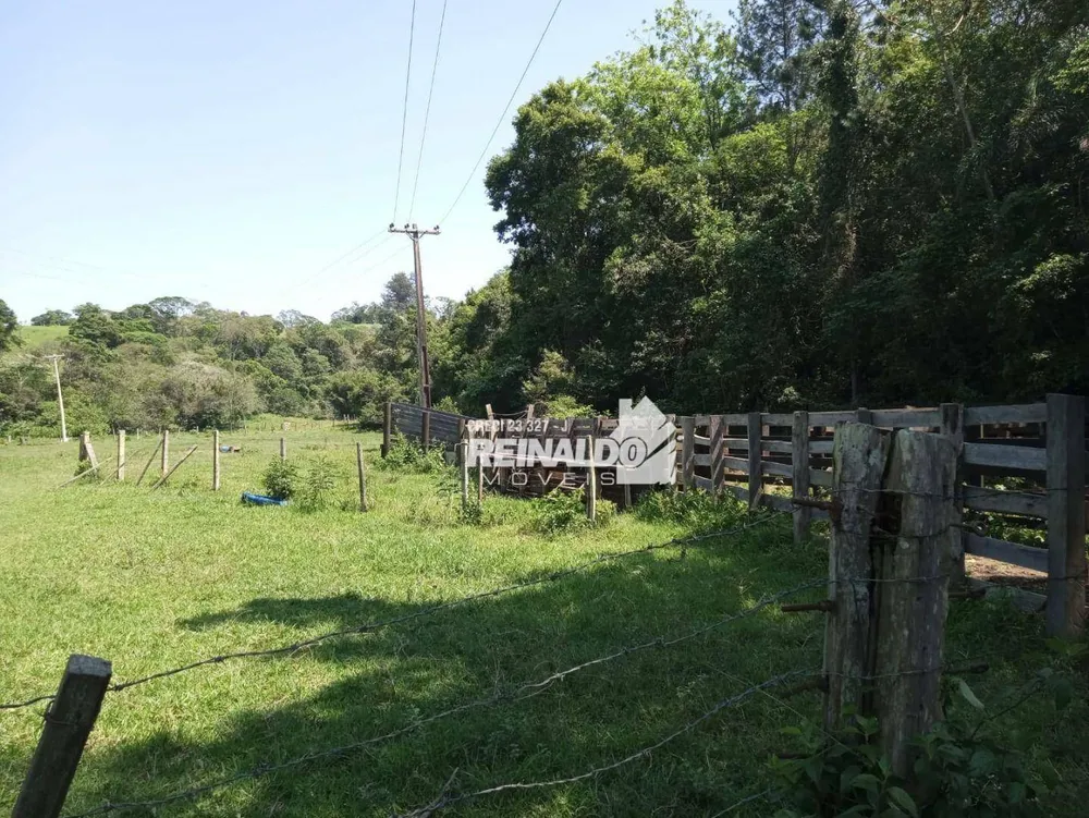 Fazenda, 37 hectares - Foto 8