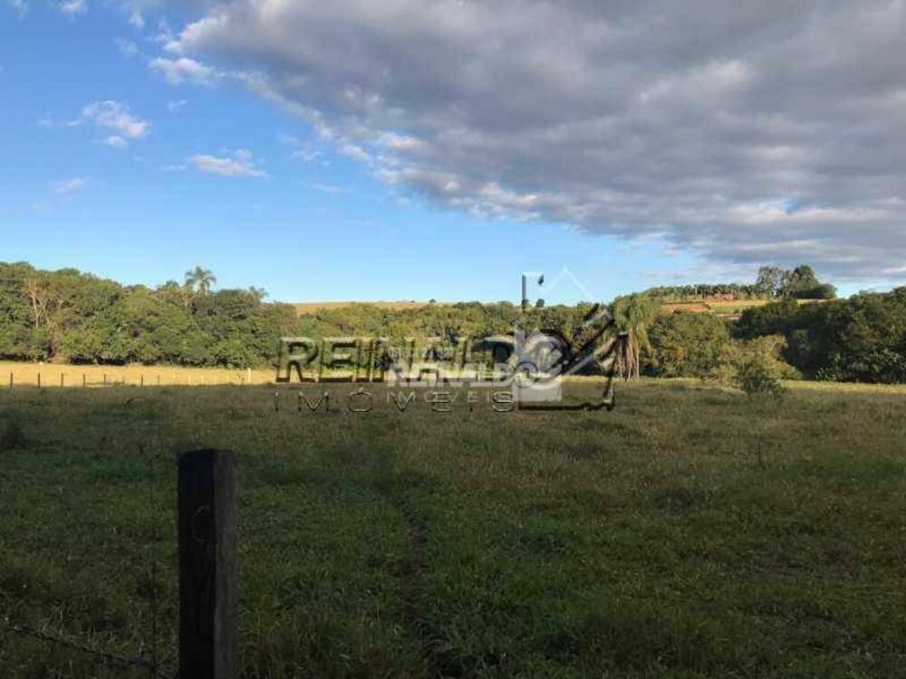 Sítio, 2 quartos, 4 hectares - Foto 13