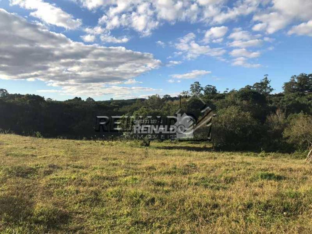 Sítio, 2 quartos, 4 hectares - Foto 1