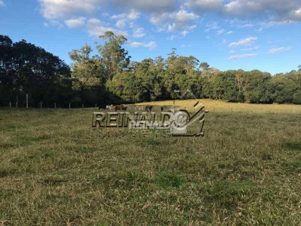 Sítio, 2 quartos, 4 hectares - Foto 6