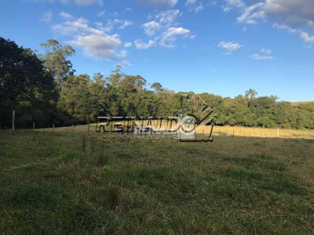 Sítio, 2 quartos, 4 hectares - Foto 11