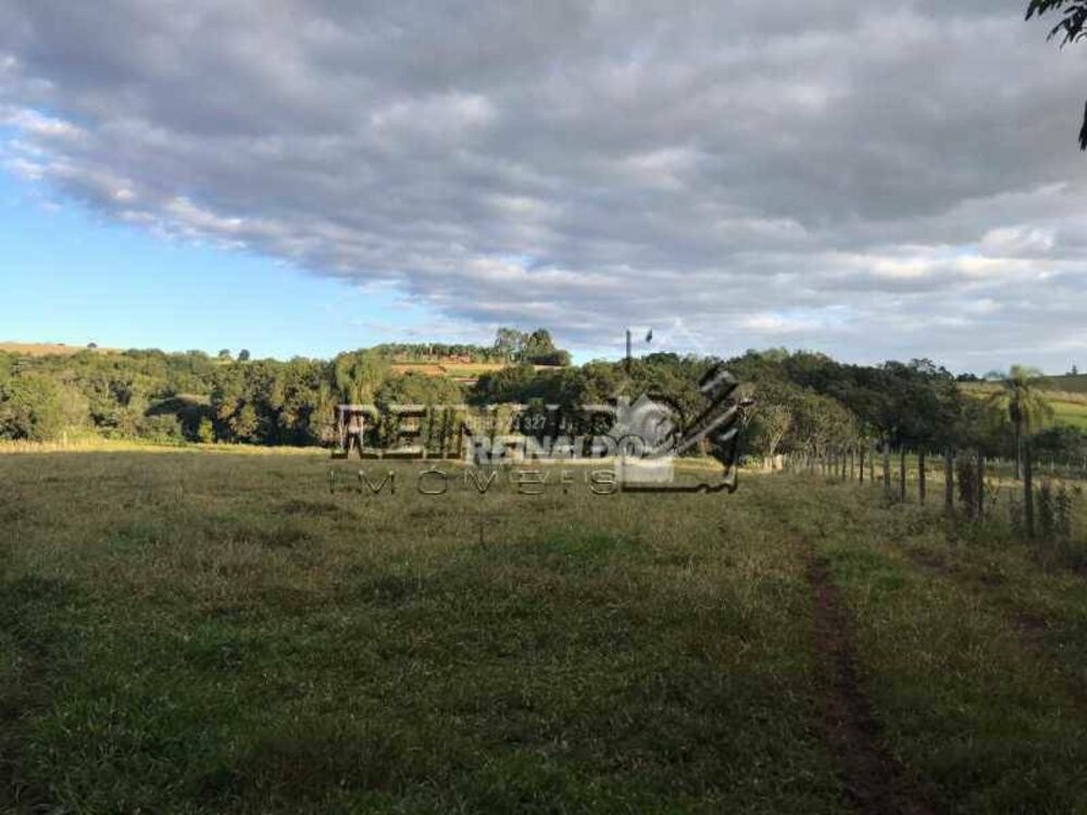 Sítio, 2 quartos, 4 hectares - Foto 12