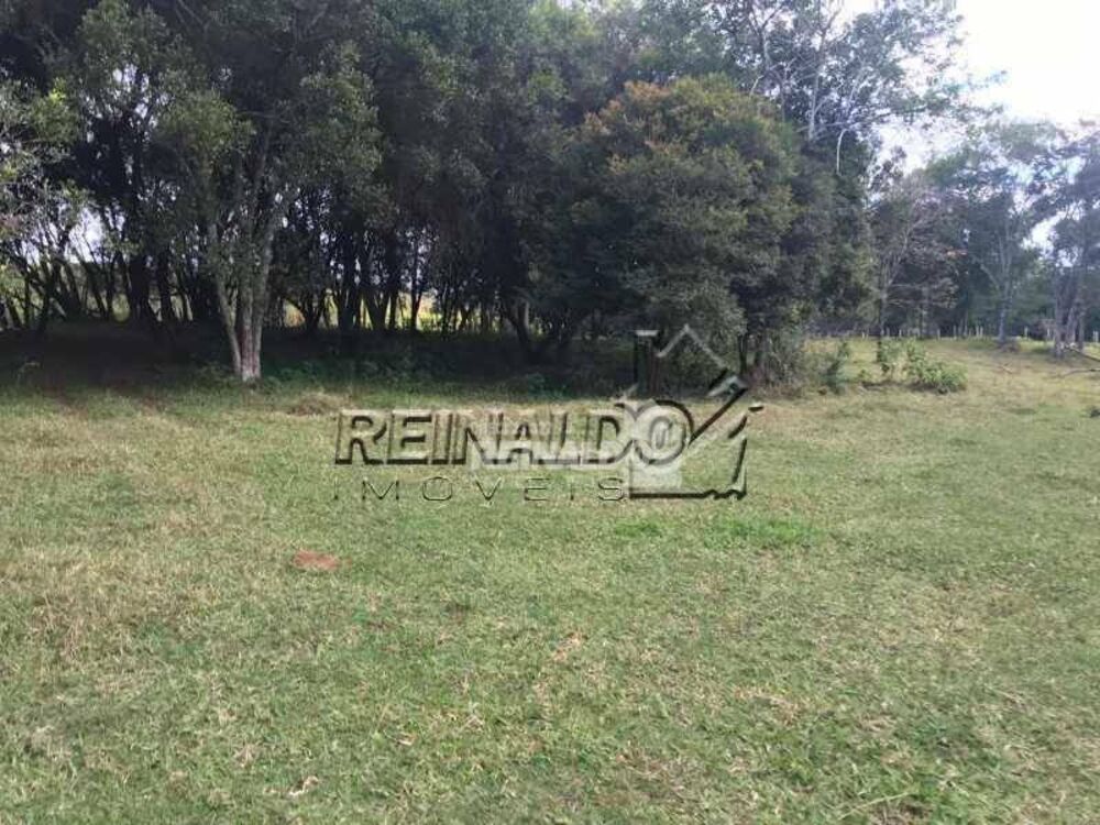 Sítio, 2 quartos, 4 hectares - Foto 10