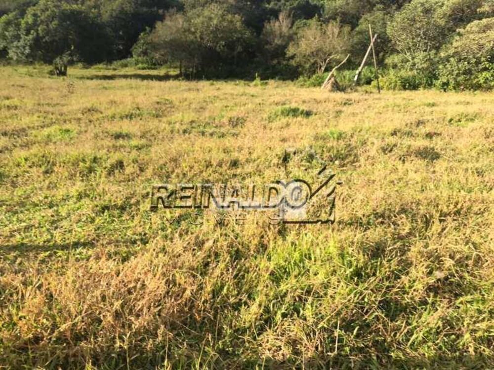 Sítio, 2 quartos, 4 hectares - Foto 3