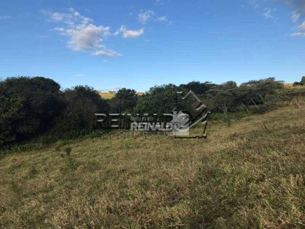 Sítio, 2 quartos, 4 hectares - Foto 14