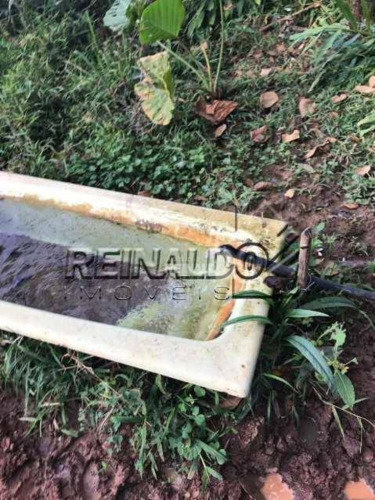 Sítio, 2 quartos, 4 hectares - Foto 5