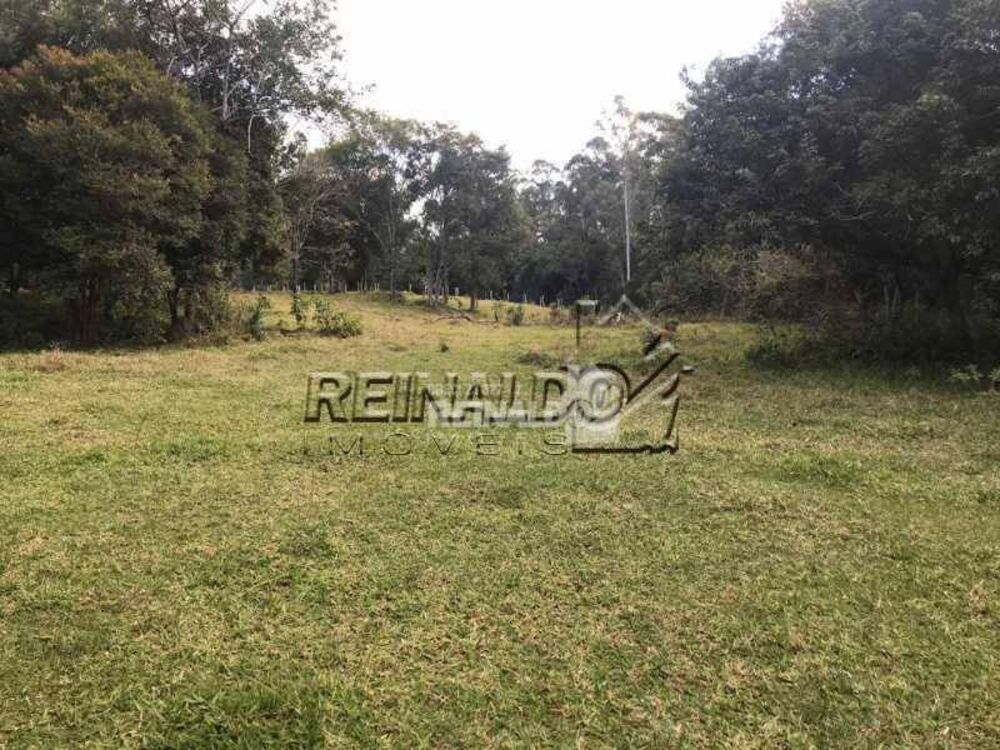 Sítio, 2 quartos, 4 hectares - Foto 8