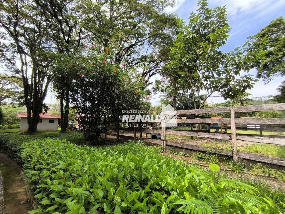 Fazenda à venda com 3 quartos, 1500m² - Foto 4