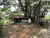 Fazenda-Sítio-Chácara, 15 hectares - Foto 6