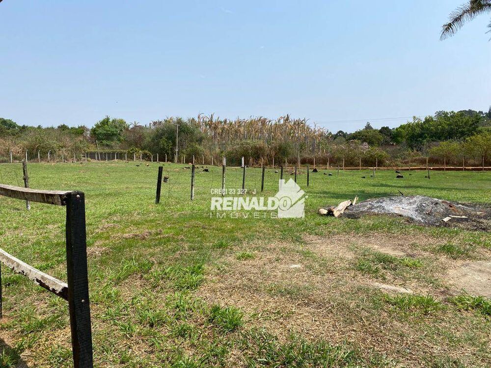 Sítio, 4 quartos, 2 hectares - Foto 5