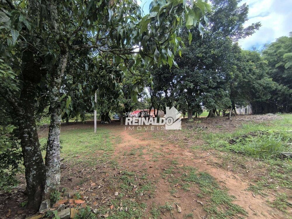 Terreno, 1 hectares - Foto 13