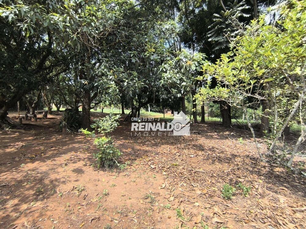 Terreno, 1 hectares - Foto 7