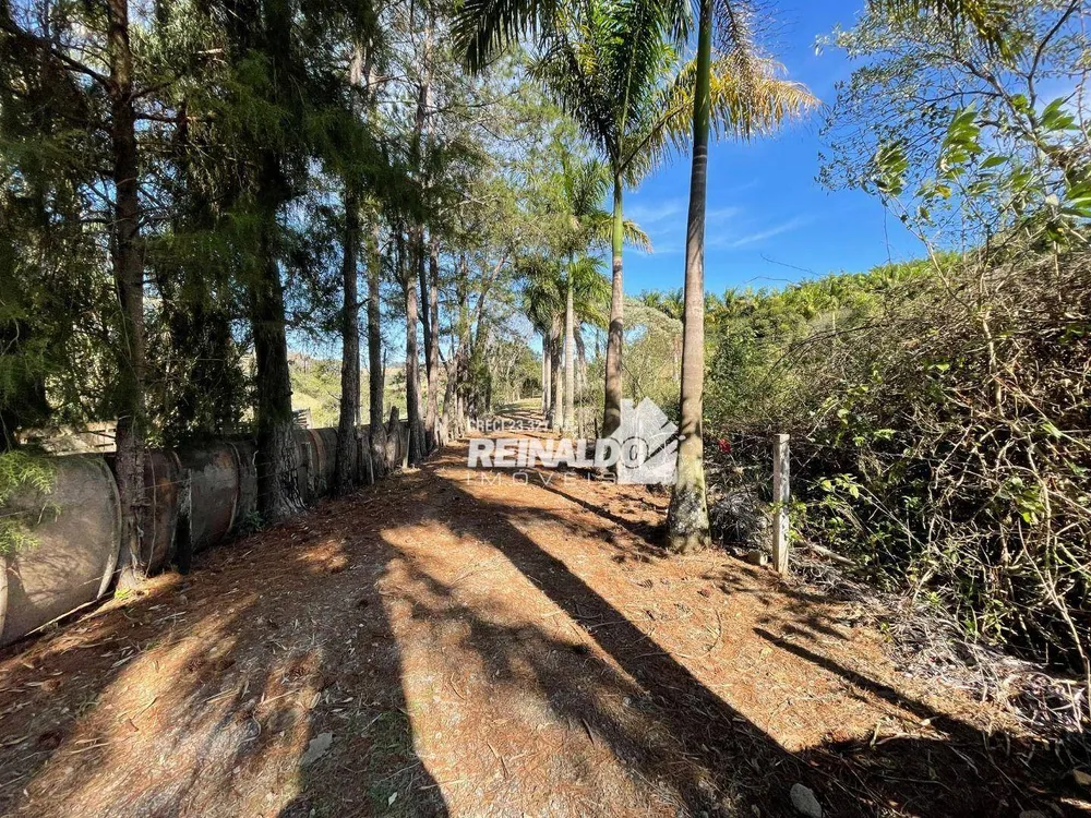 Terreno, 3 hectares - Foto 1